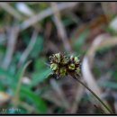 사월농장 이미지