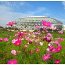 국화축제장 입구 이미지