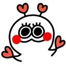 비비라인