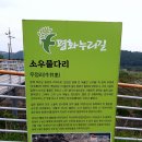 평화장식 - 사하구 두송로26번길 45 | 평화장식