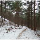 순박산골 | 45인승 서울,경기 전세/관광버스대절후기(강원도 춘천 금병산)