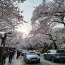 카페인중독논산 이미지