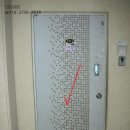 고불로 464 이미지