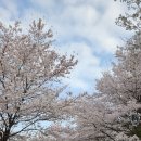 거창-고제-10 이미지