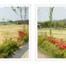 비바체 모텔 이미지