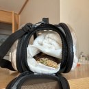 덕천동물의료센터 이미지