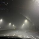 신진도드림 이미지