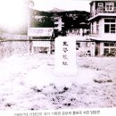 잠실리뽕나무 | 잠원역에서 만난 조선의 비단길 — 서울 잠원동의 잠사산업과 왕실 친잠의식, 그리고 서초 실크로드...