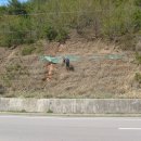 팔영주유소 이미지