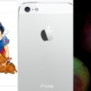 알토란사과체험마을 이미지