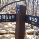 내압농원 Daum카페
