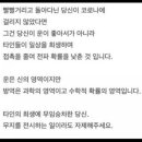 혜화동두찜 이미지