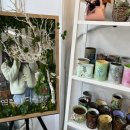 다육공방 티스토리