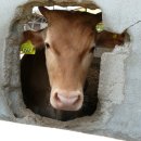 어구마을 이미지