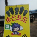 성복농장 네이버블로그