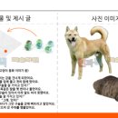 선과색미술 | 2027학년 선화예술중학교 입학전형 기본계획