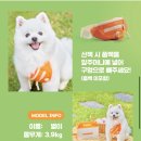 해피 펫 미 네이버블로그