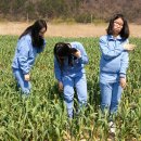 해성농장 이미지