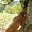 소근소근 이미지