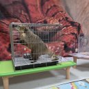 꿈꾸는푸른도서관 이미지