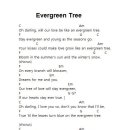 Evergreen Tree / Cliff Richard 이미지