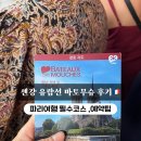 세느강 | 세느강 유람선 고민된다면? 바토무슈 후기 + 예약 총정리