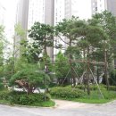 우남마트 | 동탄 시범우남 19억 반도4차 15.9억, 센트럴푸르지오 10억대가 싸 보이는 이유