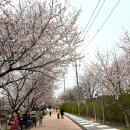 시립고색뉴지엄어린이집 이미지