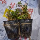 윤미용실
