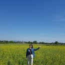 논현로5길 17 이미지