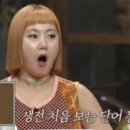 딜레탕트 이미지