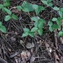 산속농원 이미지