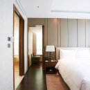 롯데시티호텔명동 이미지