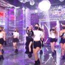 덤덤 이미지