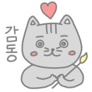 디디오(DDO) 이미지