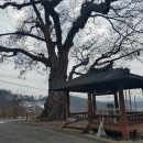 남성마을회관 이미지