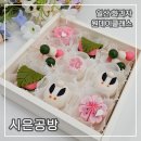 달토끼떡케이크공방 - 화성시 와우로73번길 15-7 | 일산 화과자 시은공방 원데이클래스 다녀온 후기 | 예쁜 상견례 선물·답례품 추천
