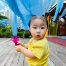 정원파크 이미지