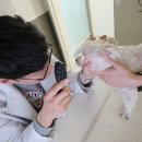 한마음동물의료원 이미지