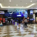 본스푸드