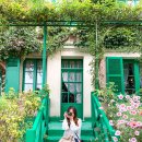 와이엔디.에프(Y&D.F) | 유럽여행 준비물 올림푸스 미러리스 카메라는 필수!!