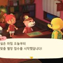파라다이스힐링