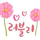 『화북윈드 오케스트라 공연』 이미지