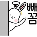 하이하이스튜디오 이미지