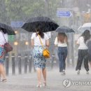 소나기 연합뉴스