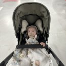 대치4문화센터 | [롯백 구리 문화센터] 반짝반짝 똘망이 (4개월) 추천 후기