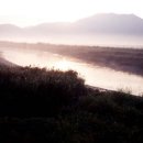 순천만 그리고 나 이미지