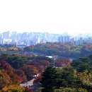 하늘계단 이미지