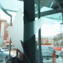 블루버드 이미지