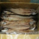 영광상회 이미지